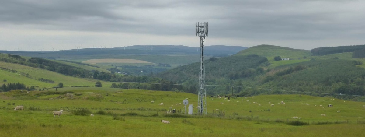 A phone mast in a field